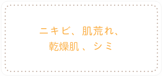 ニキビ、肌荒れ、乾燥肌、シミ